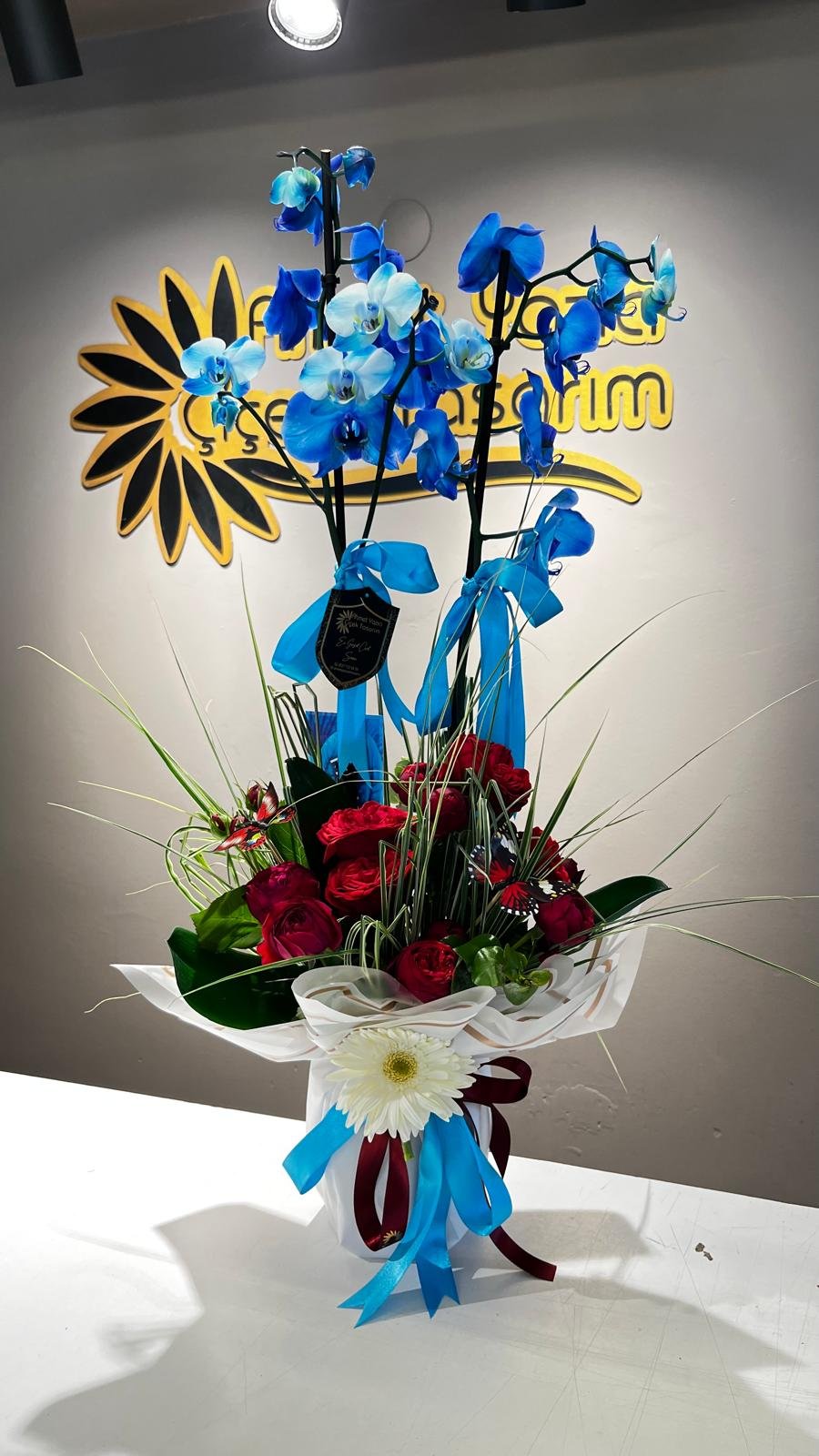 ÇİFT DAL MAVİ ORKİDE 