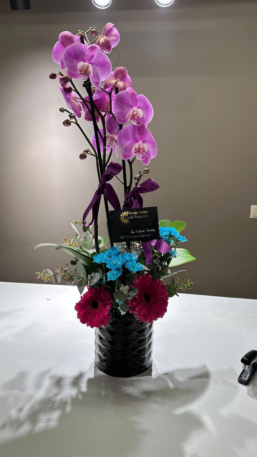 ÇİFT DAL LİLA ORKİDE